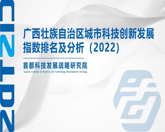 操女生屄【成果发布】广西壮族自治区城市科技创新发展指数排名及分析（2022）